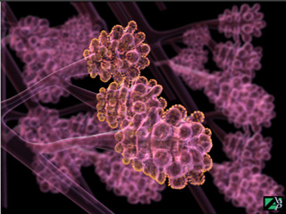 Image taken from a medical animation shows the finest branches of the airway, the respiratory bronchioles, and the alveolar sacs which are involved in gas exchange.