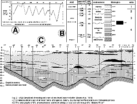 Fig. 2 - Sea Level, Environmental Change, Stratigraphy.