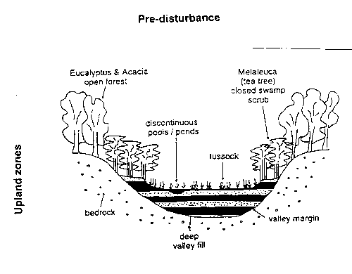 Figure 2.5.1	Planform view of pre-disturbance (left) and post-disturbance (right) channel character within upland, mid-catchment and lowland zones of the Wolumla Creek catchment.  After Fryirs et al. (1996).