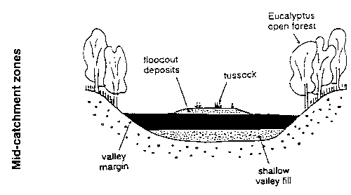 Figure 2.5.1	Planform view of pre-disturbance (left) and post-disturbance (right) channel character within upland, mid-catchment and lowland zones of the Wolumla Creek catchment.  After Fryirs et al. (1996).