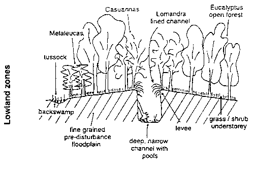 Figure 2.5.1	Planform view of pre-disturbance (left) and post-disturbance (right) channel character within upland, mid-catchment and lowland zones of the Wolumla Creek catchment.  After Fryirs et al. (1996).