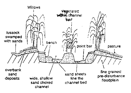 Figure 2.5.1	Planform view of pre-disturbance (left) and post-disturbance (right) channel character within upland, mid-catchment and lowland zones of the Wolumla Creek catchment.  After Fryirs et al. (1996).