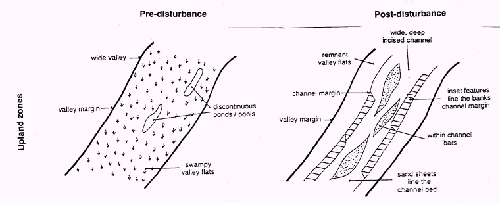 Figure 2.5.2a Cross-sectional view of pre-disturbance (left) and post-disturbance (right) channel character within upland, mid-catchment and lowland zones of the Wolumla Creek catchment. After Fryirs