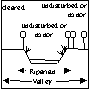 Condition of the riparian and valley vegetation on the left and right sides together