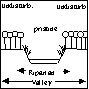 Condition of the riparian and valley vegetation on the left and right sides together
