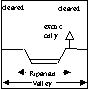 Condition of the riparian and valley vegetation on the left and right sides together