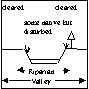 Condition of the riparian and valley vegetation on the left and right sides together