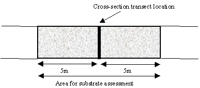 Area for assessment of substrate