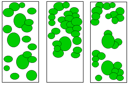 40% vegetative cover within the riparian zone