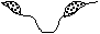 Modified Channel Image