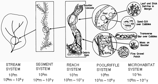 Figure 1.2 Hierarchical organisation of a stream system, and its habitat sub-systems. The approximate linear spatial scale (metres) and time scale of persistence (years) for a second or third-order mountain stream is also indicated for each system.