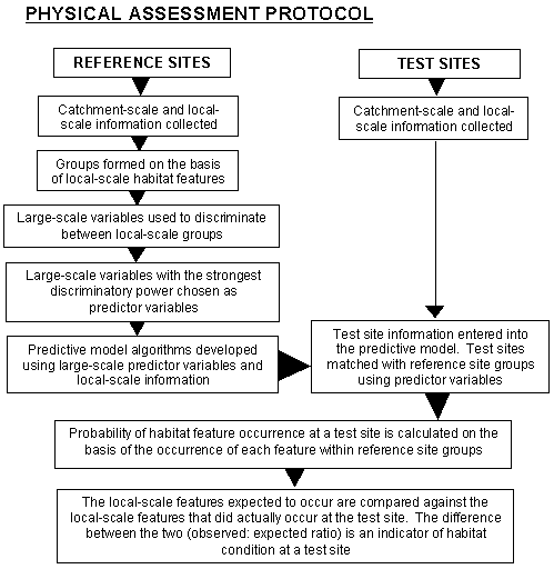 Figure 1.3a Overview of the analytical and assessment process used in the physical assessment protocol (left - top) and AUSRIVAS (right - below). [Note: In the original document the top figure (now 1.3a) was left and the bottom (now 1.3b) was right]