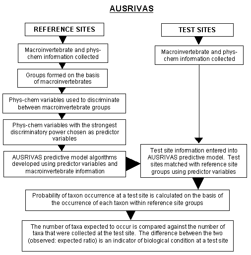 Figure 1.3b Overview of the analytical and assessment process used in the physical assessment protocol (left - top) and AUSRIVAS (right - below). [Note: In the original document the top figure (now 1.3a) was left and the bottom (now 1.3b) was right]