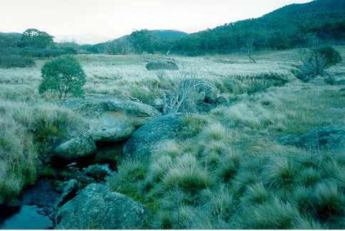 Figure 2.3: Typical example of an upper low energy unconfined zone.
