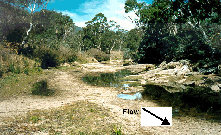 Figure 5.10 Example of a bedrock outcrop located along a bank.