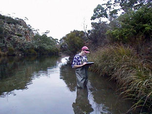 Figure 5.13 Examples of trailing bank vegetation