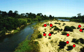 Figure 5.15. a Examples of regeneration of indigenous woody vegetation for category abundant and healthy
