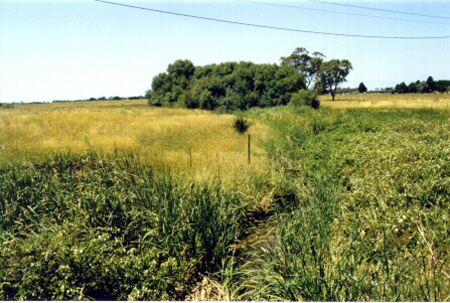 Figure 5.15. b Examples of regeneration of indigenous woody vegetation for category: Very Limited Restoration