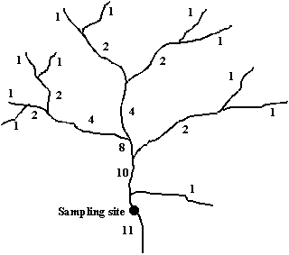 Figure 5.2 Example calculation of link magnitude. Link magnitude at the shown sampling site is 11.