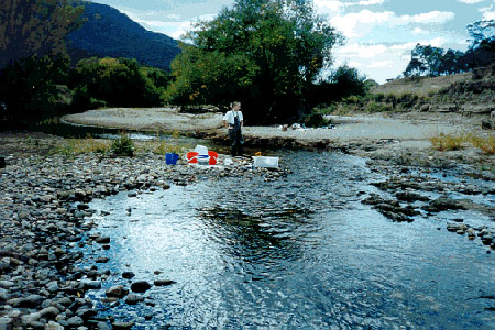 Figure 5.20 Examples of bars in a river channel.