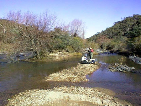 Figure 5.20 Examples of bars in a river channel.
