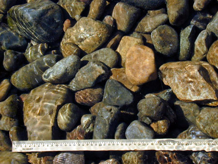 Examples of different sediment classes