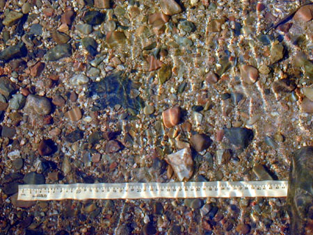 Examples of different sediment classes
