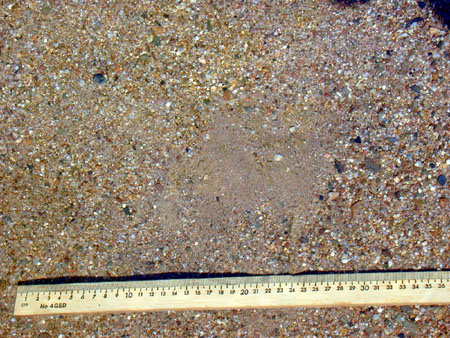 Examples of different sediment classes