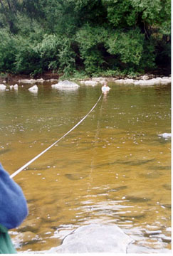 Figure 5.25 Stretching the tape measure across the stream at the start of a cross-section. 