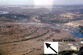 Figure 5.8 Examples of floodplain features, identified from aerial photographs and in the field