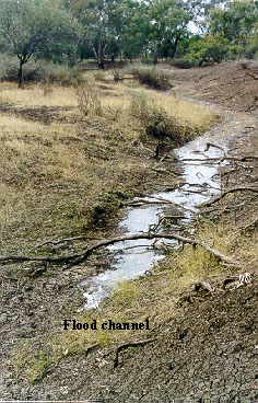 Figure 5.8 Examples of floodplain features, identified from aerial photographs and in the field