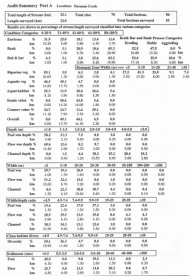 Audit Summary Part A - Image