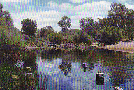 Site 003. Spring/summer 1997