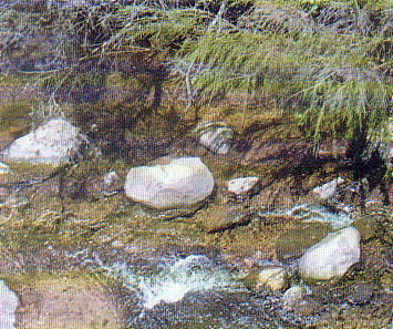 Site 124, Spring/summer 1997