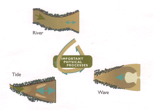 Graphic: Types of estuaries